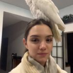 Evgenia Medvedeva Instagram - Знакомьтесь, это Юки🤍🦜 Он уже говорит «привет» (не в этот раз) и гавкает на собак.