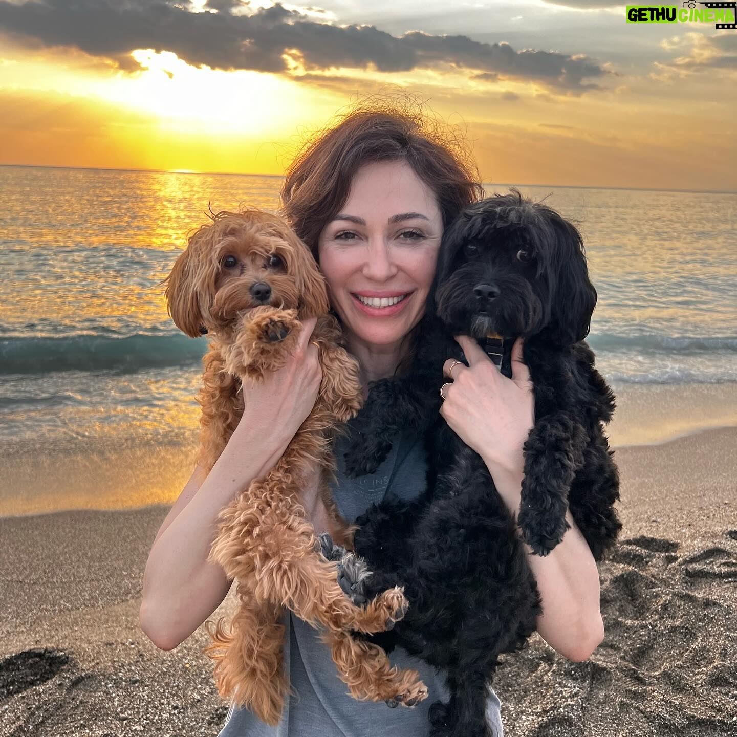 Evrim Doğan Instagram - Her batışın büyük bir gösteri ama o gün biraz daha özeldi sanki 🙏☀️