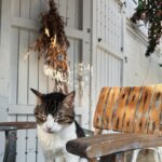 Eylül Tumbar Instagram - χαρακτήρες