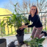 Fátima Lopes Instagram – Dia de transplantar as plantas cá de casa! 🌱