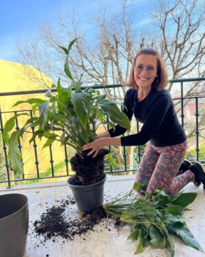 Fátima Lopes Instagram - Dia de transplantar as plantas cá de casa! 🌱
