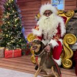 Fátima Lopes Instagram – Hoje, o Brownie conheceu o Pai Natal!🎅🏼 Divertiu-se tanto como uma verdadeira criança. 😁