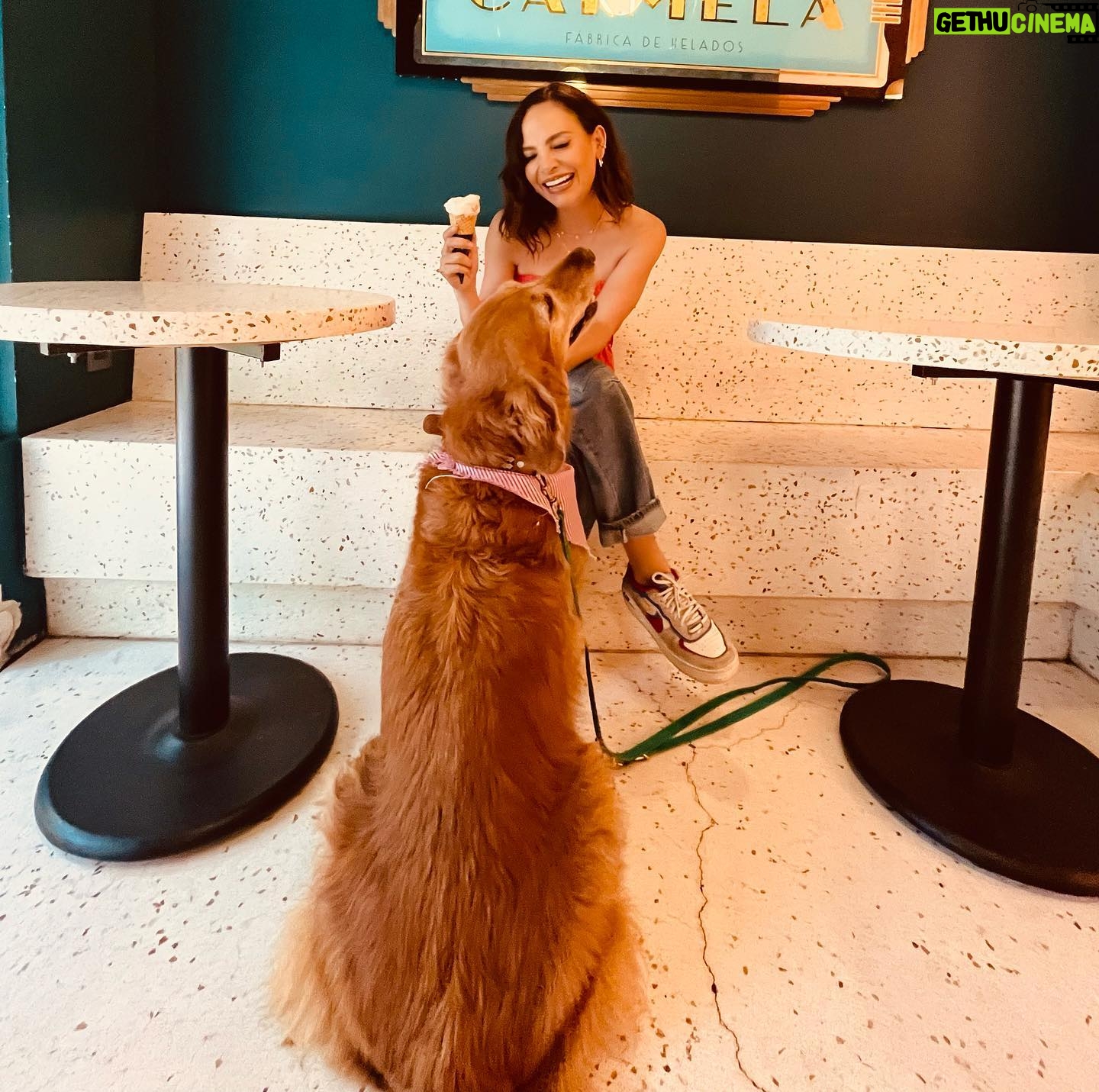 Fabiola Campomanes Instagram - Apapacho de viernes.🥰 #teamopenny