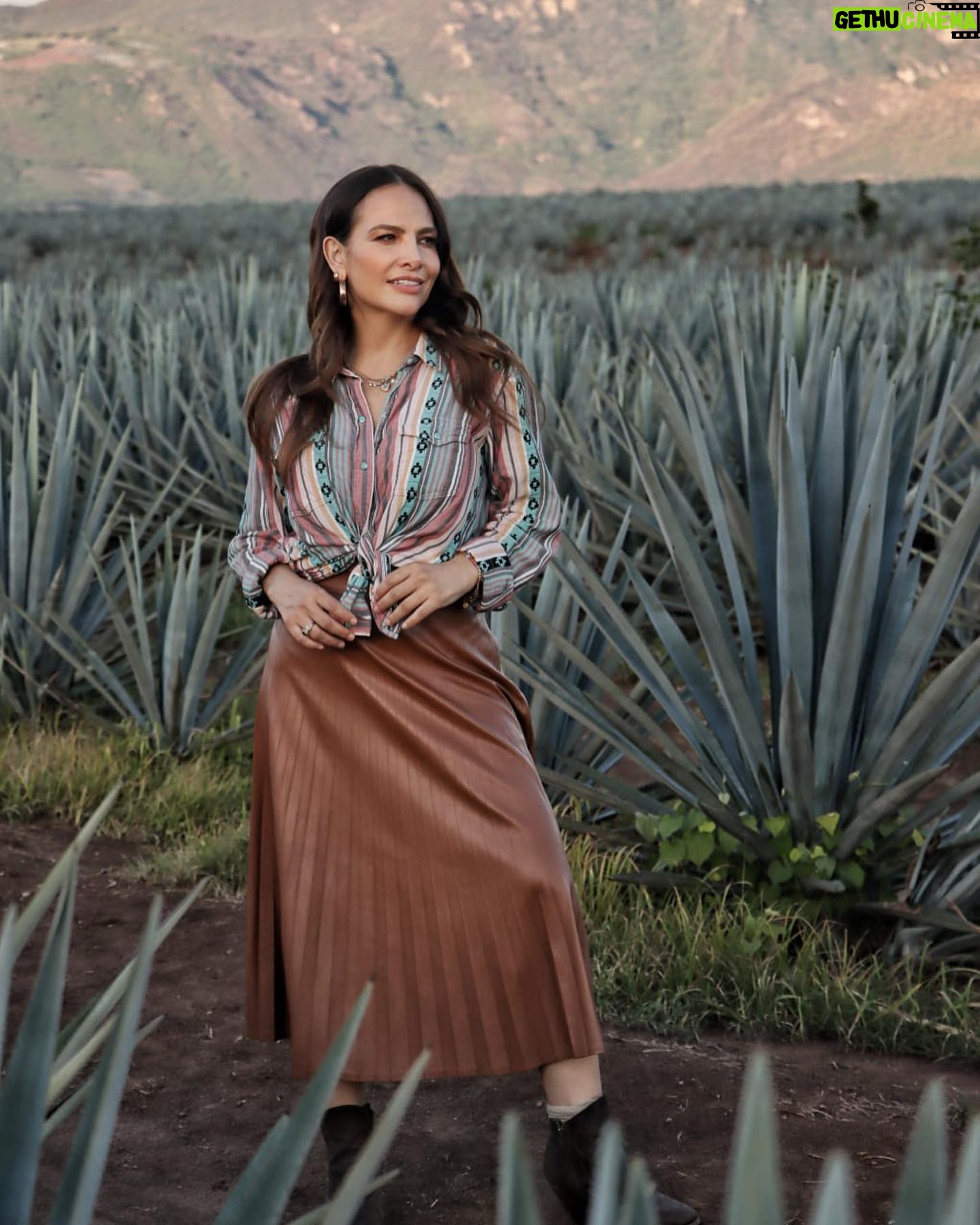 Fabiola Campomanes Instagram - En 1998 se grabo la telenovela Azul Tequila , y hasta ahora regresé a grabar a estos campos de agave azul ,que me emocionan tanto. Orgullosamente Tequilera 😁 les mando ❤️❤️❤️