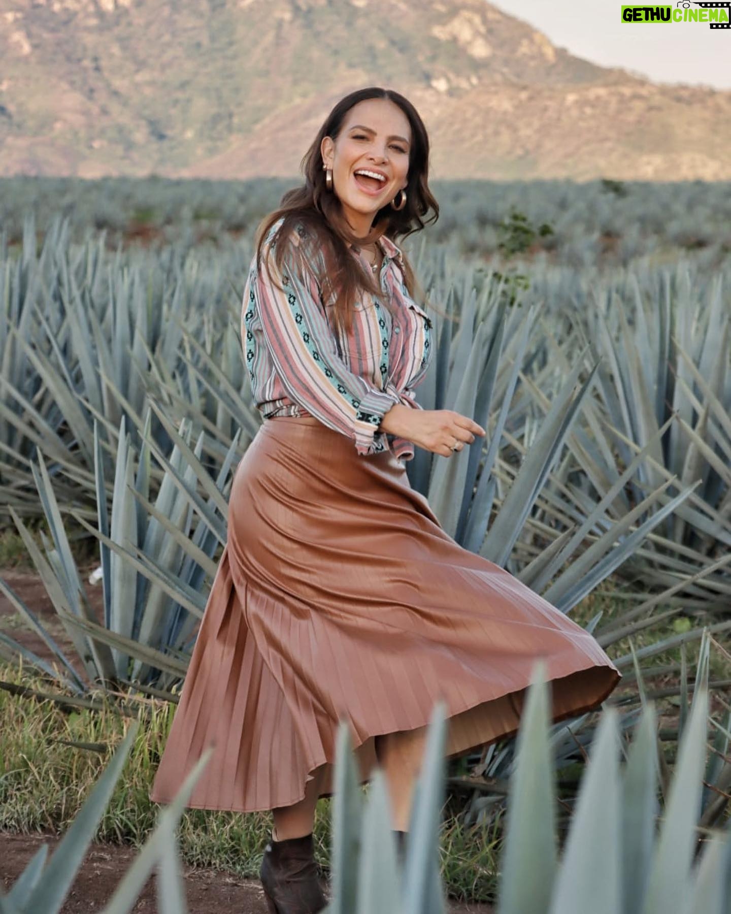 Fabiola Campomanes Instagram - En 1998 se grabo la telenovela Azul Tequila , y hasta ahora regresé a grabar a estos campos de agave azul ,que me emocionan tanto. Orgullosamente Tequilera 😁 les mando ❤️❤️❤️