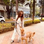 Fabiola Campomanes Instagram - Gracias por este regalo de vida !! Penny te amo ❤️ y amo tu corte de @petsocietymx