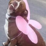 Faith Ordway Instagram - pink ^-^