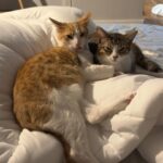 Faith Ordway Instagram - here’s some stuff