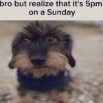 Faith Ordway Instagram - beans fr ‼️