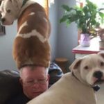 Faith Ordway Instagram - here’s some stuff