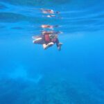 Fala Chen Instagram – Beautiful day of snorkeling, my posture though…😆 #australia #greatbarrierreef