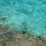 Fala Chen Instagram - Fifty shades of blue 🏝️ Thanks @leighasinnott and @rowan.s.v family for your hospitality! #vacation
