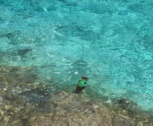 Fala Chen Instagram - Fifty shades of blue 🏝️ Thanks @leighasinnott and @rowan.s.v family for your hospitality! #vacation