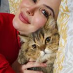 Farrah Yousef Instagram - مابعمري تخيّلت اني ممكن حب مخلوق بهالطريقة .. بتحبو القطط ؟ و حدا فيكن عندو قطة و شو اسما ؟ #cute #cat #cats #cutnessoverload 😽🥰💕