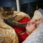 Farrah Yousef Instagram - مابعمري تخيّلت اني ممكن حب مخلوق بهالطريقة .. بتحبو القطط ؟ و حدا فيكن عندو قطة و شو اسما ؟ #cute #cat #cats #cutnessoverload 😽🥰💕