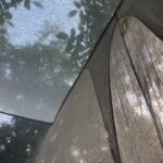 Fatemeh Motamed-Arya Instagram - سایه های بلند صبح تابستان