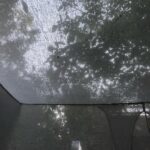 Fatemeh Motamed-Arya Instagram - سایه های بلند صبح تابستان