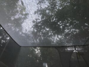 Fatemeh Motamed-Arya Instagram - سایه های بلند صبح تابستان