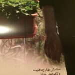 Fatemeh Motamed-Arya Instagram - در خانه بسته است ،و باز نور می بارد از در و دیوار این خانه