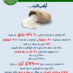 Fatemeh Motamed-Arya Instagram -