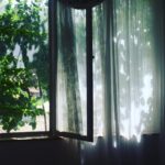 Fatemeh Motamed-Arya Instagram -