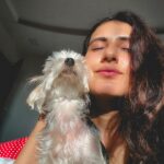 Fatima Sana Shaikh Instagram – सनकिस्ड ☀️
#bijlee