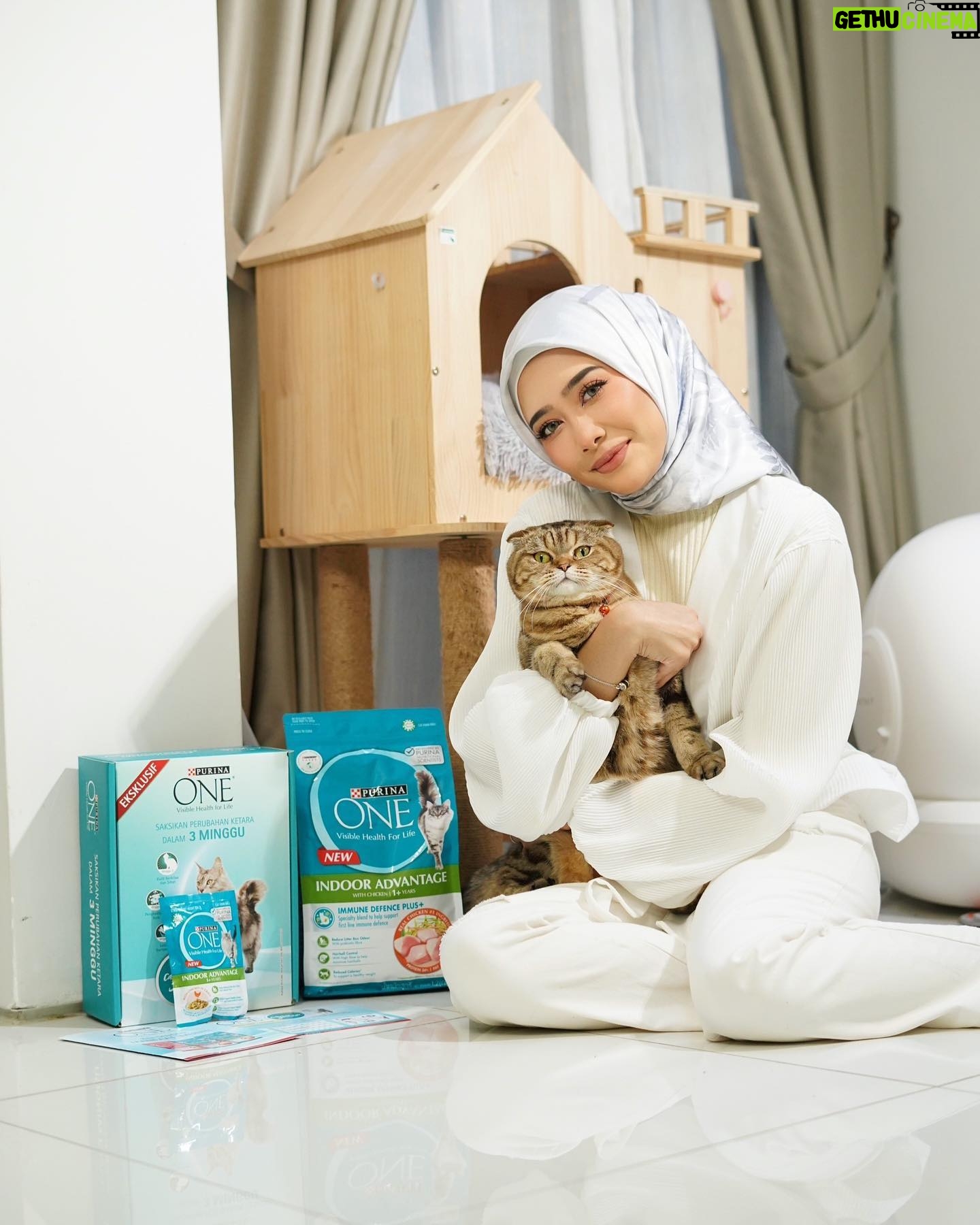 Fatin Afeefa Instagram - Congratulations! We’ve made it to the final week of our 3-week challenge. As you know, this is a big deal for anyone who loves their cat!. Now that you've seen the difference that eating a balanced diet can make in your cats life, I want to make sure that everyone has access to this information. If you're a cat owner, I highly recommend this challenge. Join the PURINA ONE 3-Week Challenge and witness the difference for yourself! Stand a chance to be PURINA ONE Ambassador 1. Register your details and upload your cat's photo on PURINA ONE’s website https://www.purina.com.my/cat/purina-one/ms/purina-one-cabaran-3-minggu 2. Shortlisted participants will be notified via WhatsApp or email 3. Start your 3 Week Challenge and share your journey in witnessing the visible differences you see every week with #PurinaOneMY #Cabaran3Minggu Campaign ends 30 June 2023, so don’t miss it.