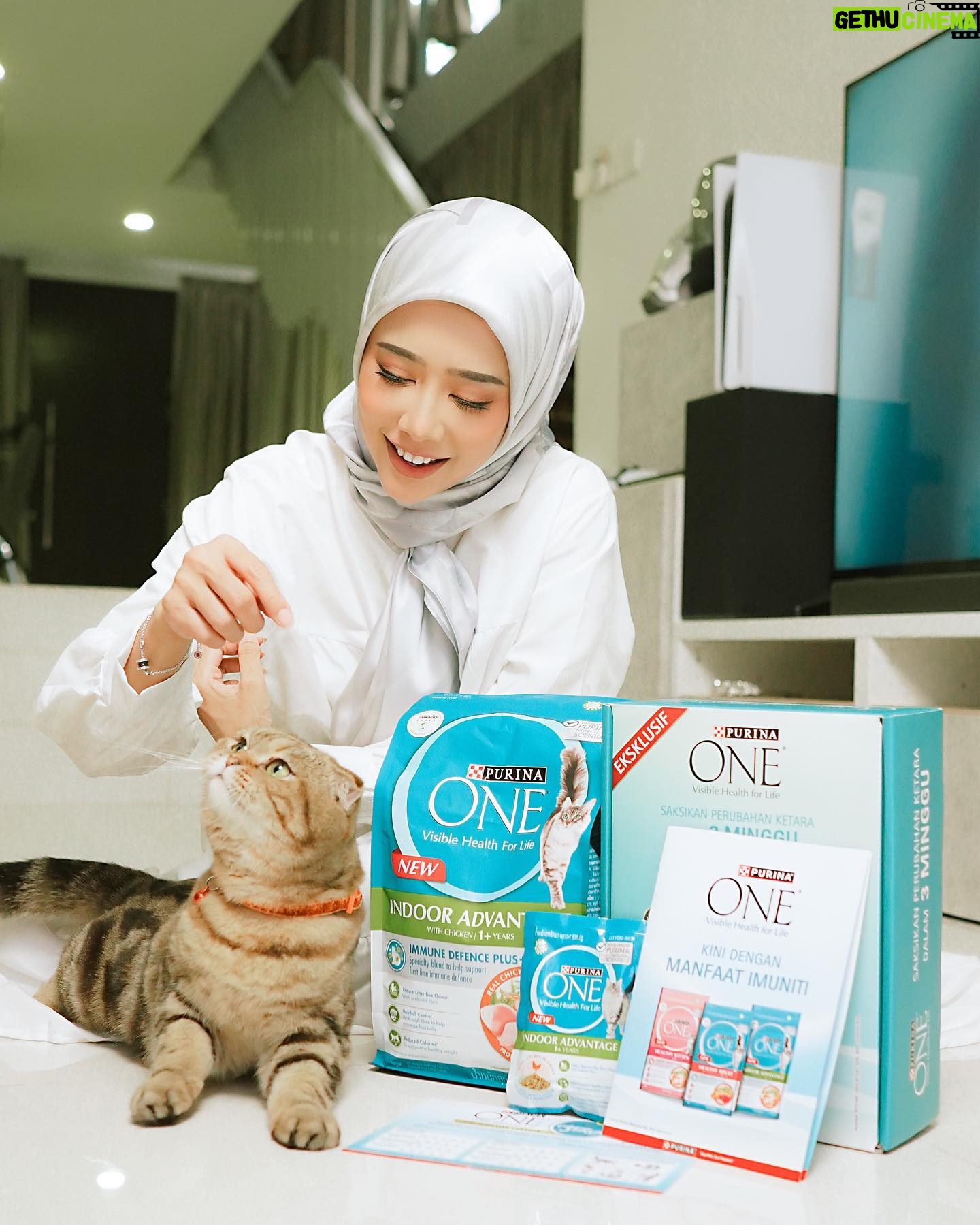 Fatin Afeefa Instagram - Are you a cat owner looking to improve your furry friend's health? Look no further than PURINA ONE's 3-Week Challenge. Dida is in the middle of her PURINA ONE 3 Weeks challenge! Truthfully, I’m feeling optimistic to see her progress, and the visible difference in her eyes, coat, and skin. Plus, by taking on the challenge with your feline friend, you could become the next DUTA PURINA ONE 2023. Join this challenge and see the difference PURINA ONE can make in your cat's health! 1. Register your details and upload your cat's photo on PURINA ONE’s website https://www.purina.com.my/cat/purina-one/ms/purina-one-cabaran-3-minggu 2. Shortlisted participants will be notified via WhatsApp or email 3. Start your 3 Week Challenge and share your journey in witnessing the visible differences you see every week with #PurinaOneMY #Cabaran3Minggu Get the 3 Week Challenge Kit and stand a chance to be a PURINA ONE Ambassador today 🥰 Join before 30th June 2023