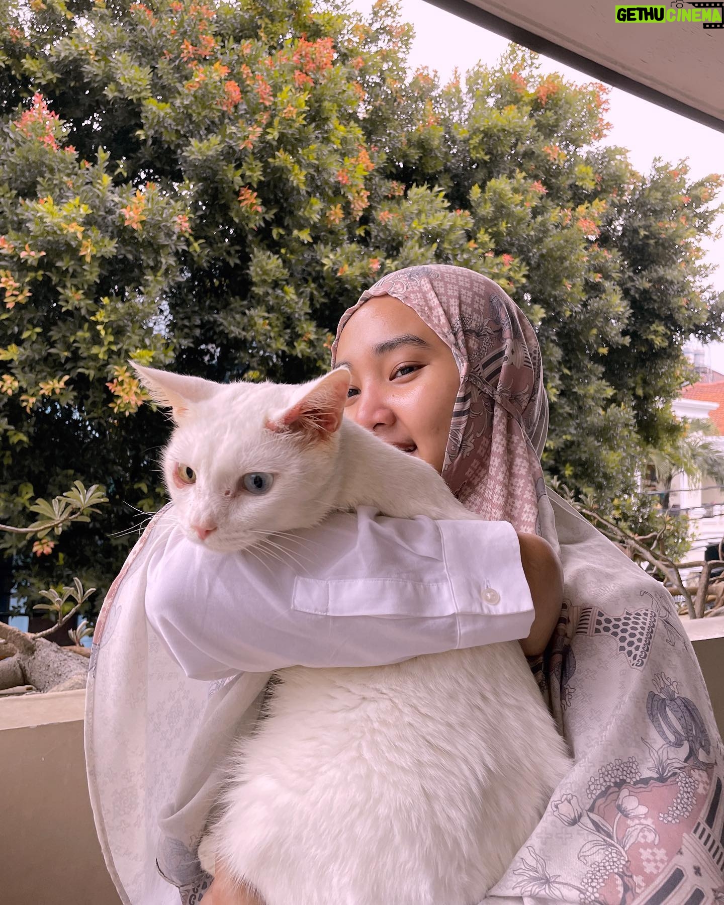 Fatin Shidqia Instagram - Salah satu hari paling buruk dalam hidup aku.. Pas Yuki dikabarin kesembuhannya cuma 20% dan masa kritisnya seminggu, trs harus transfusi darah, dan nafsu makannya blm bagus. Alhamdulillah sekarang udah jauuuhh lebih baik, kalo makin baik terus, seminggu lg bisa stop obat, YEAAYY! Hari paling buruk kalian gimana? Aku cerita banyak juga nih di Bisik-Bisik Senada, dengerin yaaa di Spotify!!