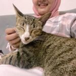 Fatin Shidqia Instagram - Kadang tuh ya rasanya lebih gampang akrab sama kucing daripada orang... ⠀⠀⠀⠀⠀⠀⠀⠀⠀⠀⠀⠀ ⠀⠀⠀⠀⠀⠀⠀⠀⠀⠀⠀⠀ Mau lagi susah, seneng, mereka kayak baiiikk bgt mau nyimak, dan kadang rasanya kayak dihibur, walaupun gengsi mereka gede juga ya.. 🥲 Tapi kalo teman datang di saat sukses doang adanya di Bisik-Bisik Senada, udah dengerin blm di Spotify?!
