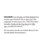 Felix Mallard Instagram - SO EXCITED to finally share this news with you. @johngreenwritesbooks has crafted an immensely beautiful story in Turtles All The Way Down and it’s beyond an honor to join such a wonderful group of people to bring it to the big screen. Absolutely cannot wait. Also, comments are back on. Go nuts. 🐢