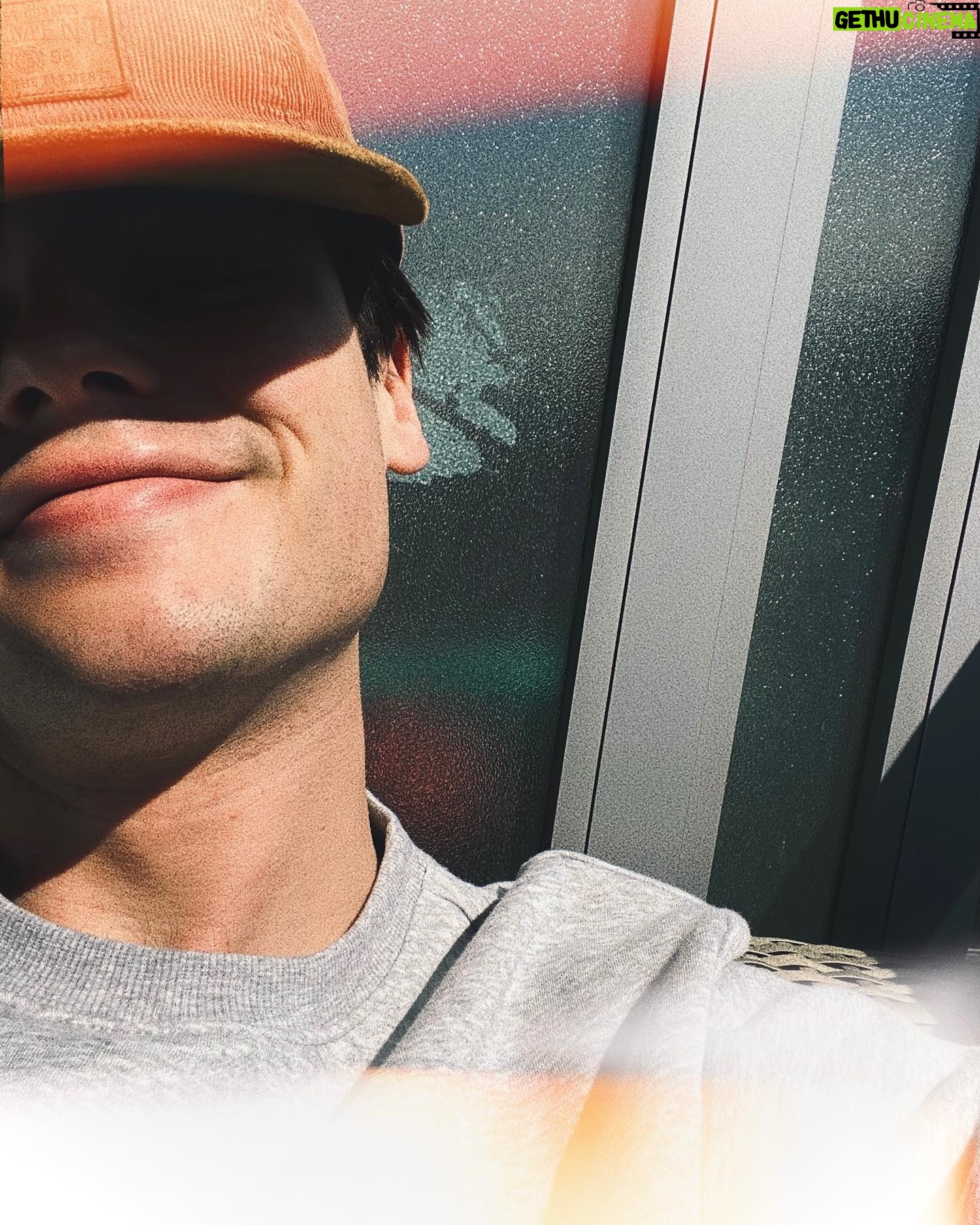 Felix Mallard Instagram - Suns out in Toronto. I’m a happy bear ☀️