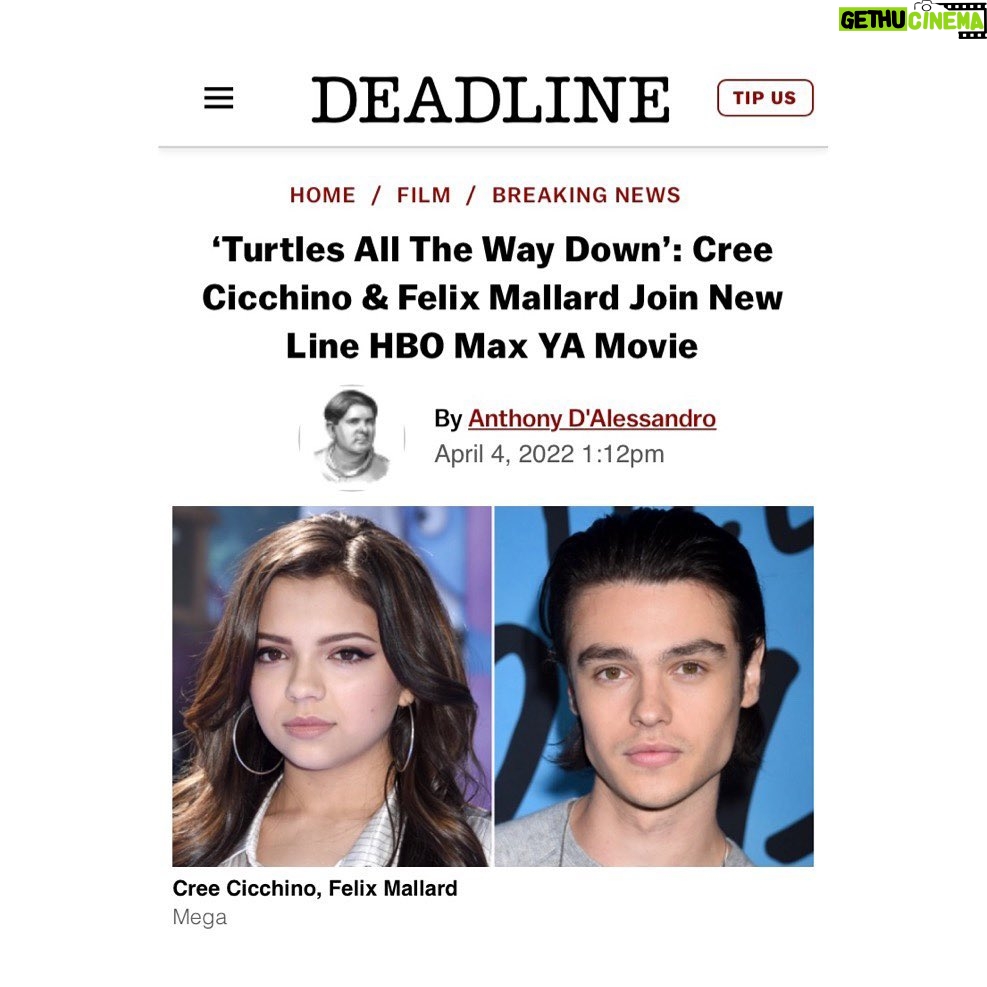 Felix Mallard Instagram - SO EXCITED to finally share this news with you. @johngreenwritesbooks has crafted an immensely beautiful story in Turtles All The Way Down and it’s beyond an honor to join such a wonderful group of people to bring it to the big screen. Absolutely cannot wait. Also, comments are back on. Go nuts. 🐢