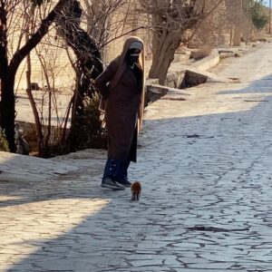 Felor Nazari Instagram - خدایا 
چه خوب بود همه ی مخلوقاتت در صلح و آرامش کنار هم زندگی می کردند