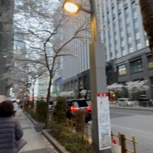 Feni Rose Instagram - Kamu ke jepang sama siapa lagi sih? 
Itu siapa yg motret kamu di pesawat? 

😒  gak percaya bgt kalo aku yg motret.. tanganku kan panjang.. kuat lagi, sanggup geret2 koper .. hhhh.. 

Japan2024 D1