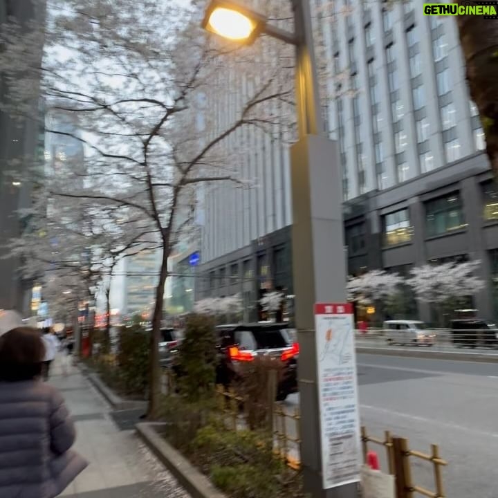 Feni Rose - 1.9K Likes - Kamu ke jepang sama siapa lagi sih?
Itu siapa yg motret kamu di pesawat?
😒 gak percaya bgt kalo aku yg motret.. tanganku kan panjang.. kuat lagi, sanggup geret2 koper .. hhhh..
Japan2024 D1