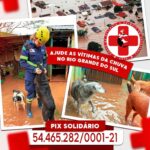 Fernanda Concon Instagram - 8 formas seguras de ajudar as vítimas das enchentes no Rio Grande do Sul! Conto com vocês para divulgar e deixar aqui nos comentários outras maneiras ❤️