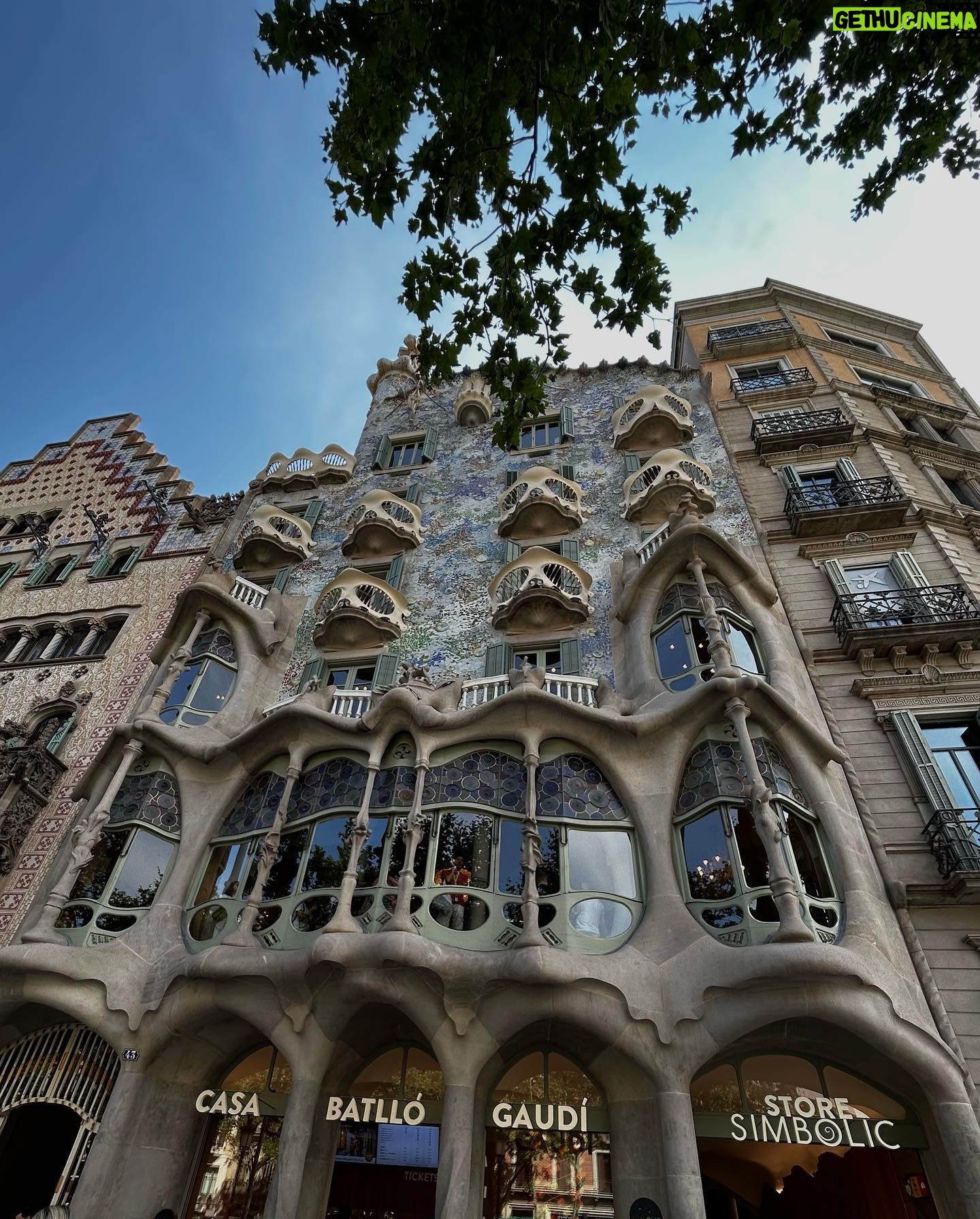 Fernanda Concon Instagram - no universo de Gaudí