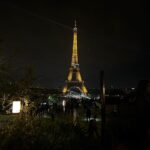 Fernanda Concon Instagram - missing parisian nights