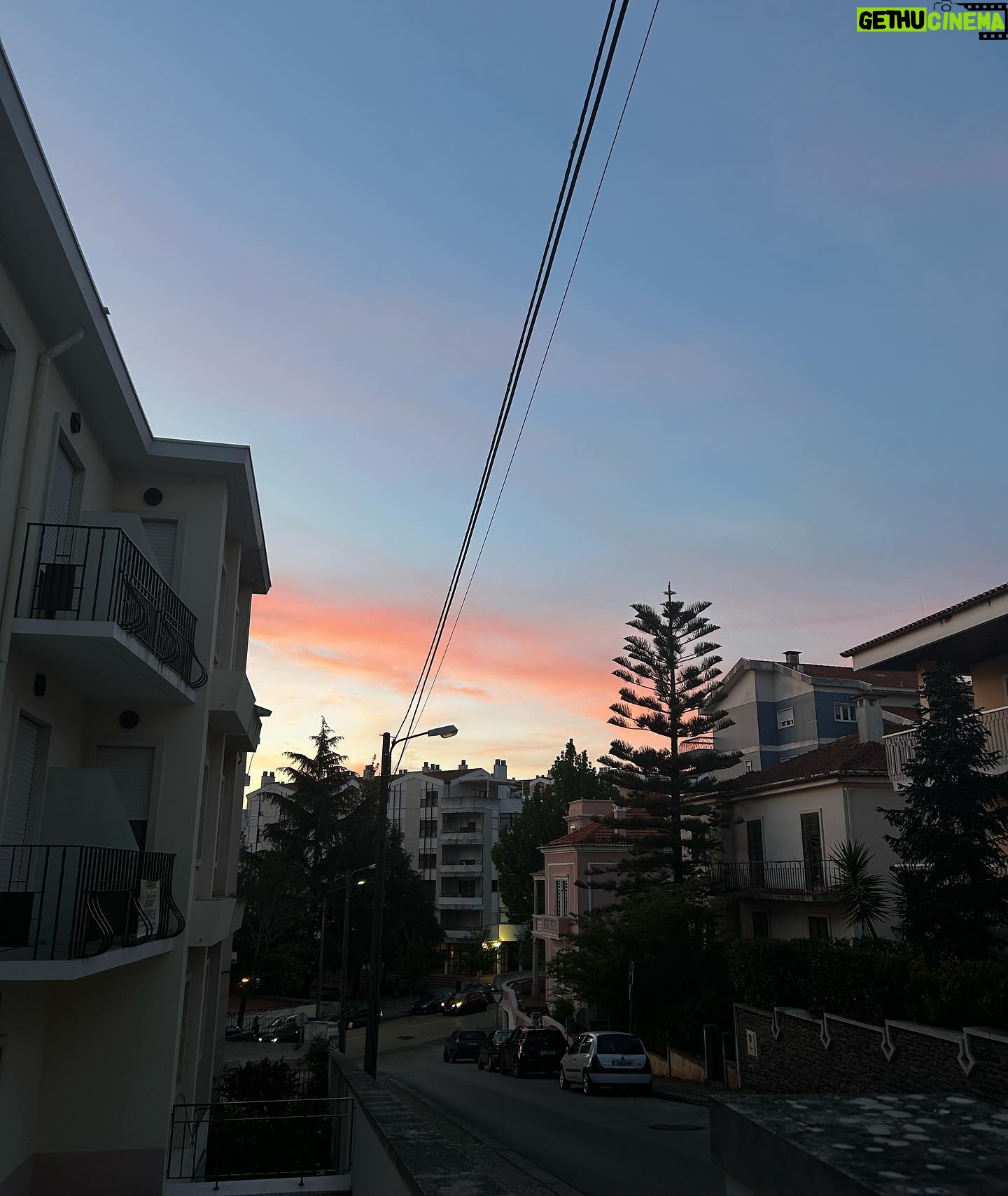 Fernanda Concon Instagram - Best Of The Week = ligações com a Cacau, bar de segunda, comprar sacos de lixo do tamanho errado, céu primaveril, academia, provas, Eça de Queirós, e um final de semana em Pombal 🫶🏽