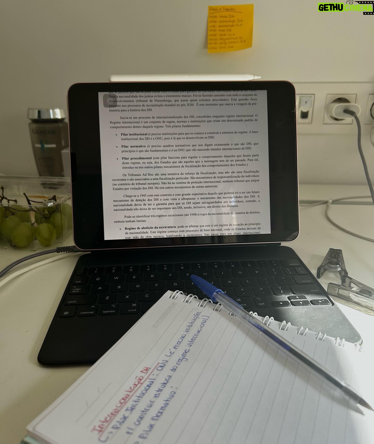 Fernanda Concon Instagram - Best Of The Week = ligações com a Cacau, bar de segunda, comprar sacos de lixo do tamanho errado, céu primaveril, academia, provas, Eça de Queirós, e um final de semana em Pombal 🫶🏽
