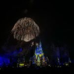 Fernanda Concon Instagram - where dreams come true