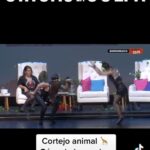 Fernanda Metilli Instagram - Este 14 de Febrero les deseo que los CORTEJEN como ANIMALES 😎 . Somos @laschicasdelaculpa y pronto tenemos novedades 😎 Nos extrañan ? . Nosotras @mguinzburg @connieballarini @nataliacarulias @fermetilli ♥️