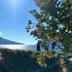 Filippa Lagerbäck Instagram - Con la promessa di tornare presto (con il marito!) ☺️ Uno dei posti più belli mai visti, una scoperta a pochi km da casa, meraviglioso, grazie @ealamylakesidedream 🍋 . #invitedby @smstudio_pr #ealamylakesidedream #ealalakegarda @stellabossari