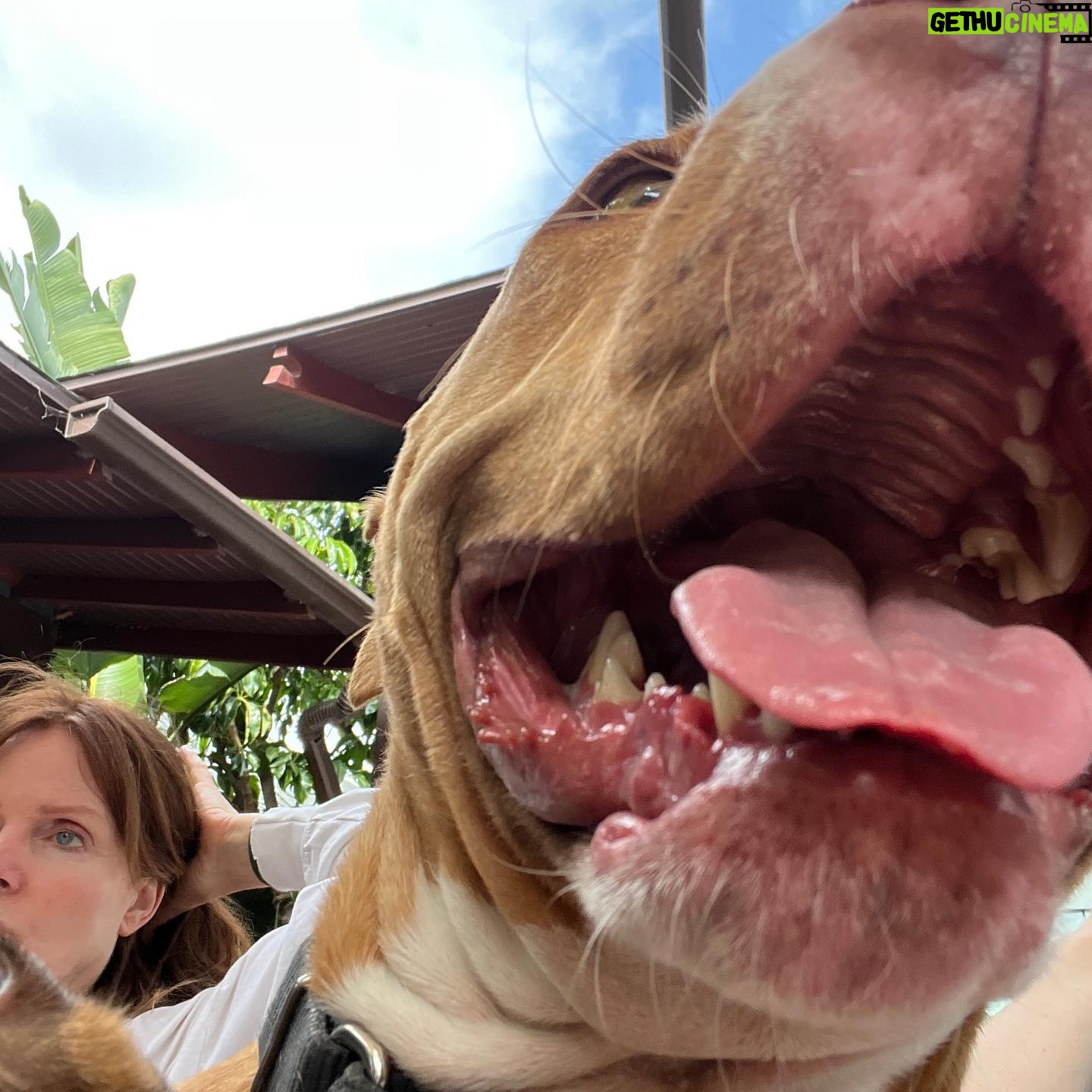Finneas O'Connell Instagram - Tried to take a picture of mom, dogs fucked it up. Love you so much mom, happy Mother’s Day! I feel so so so deeply lucky to be your son every day and the world is so much better off because of your existence