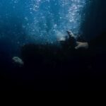 Finneas O’Connell Instagram –