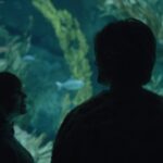 Finneas O'Connell Instagram - For my family. “Only A Lifetime” music video out now. @samuelaaronbennett @aidenulrich @monikafelicesmith @exit_twelve