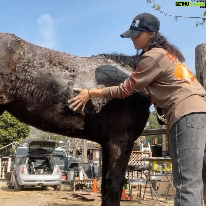 Fivel Stewart - 88.4K Likes - ā¤ļø
