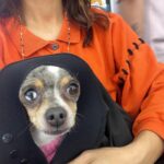 Fivel Stewart Instagram - Moments after moments