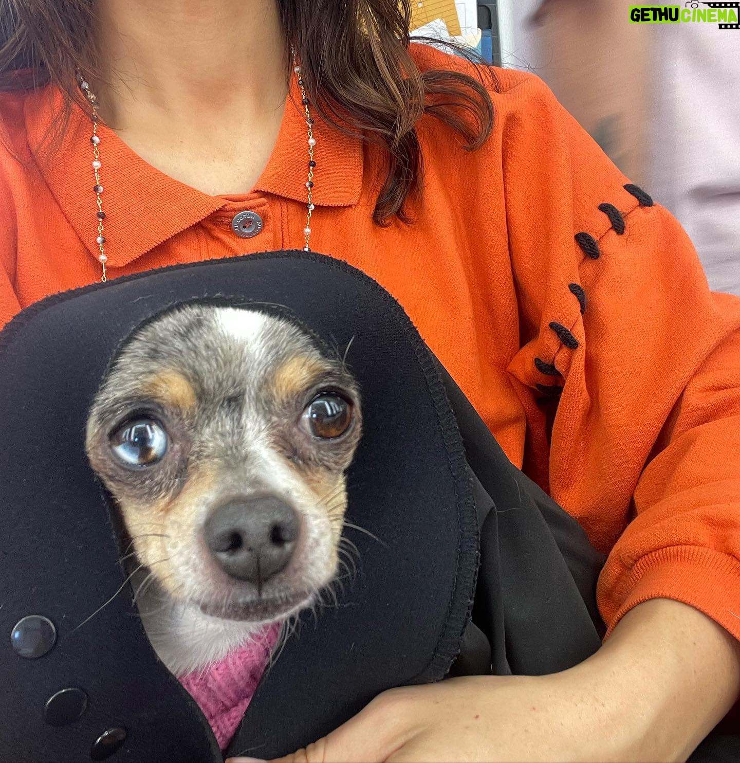Fivel Stewart - 66.7K Likes - Moments after moments